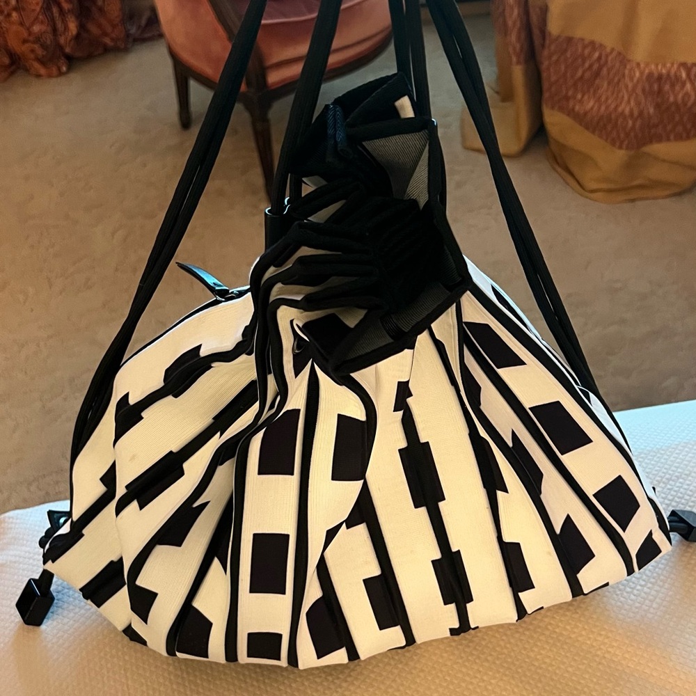 Gorgeous backpack by Issey miyake, Very roomy